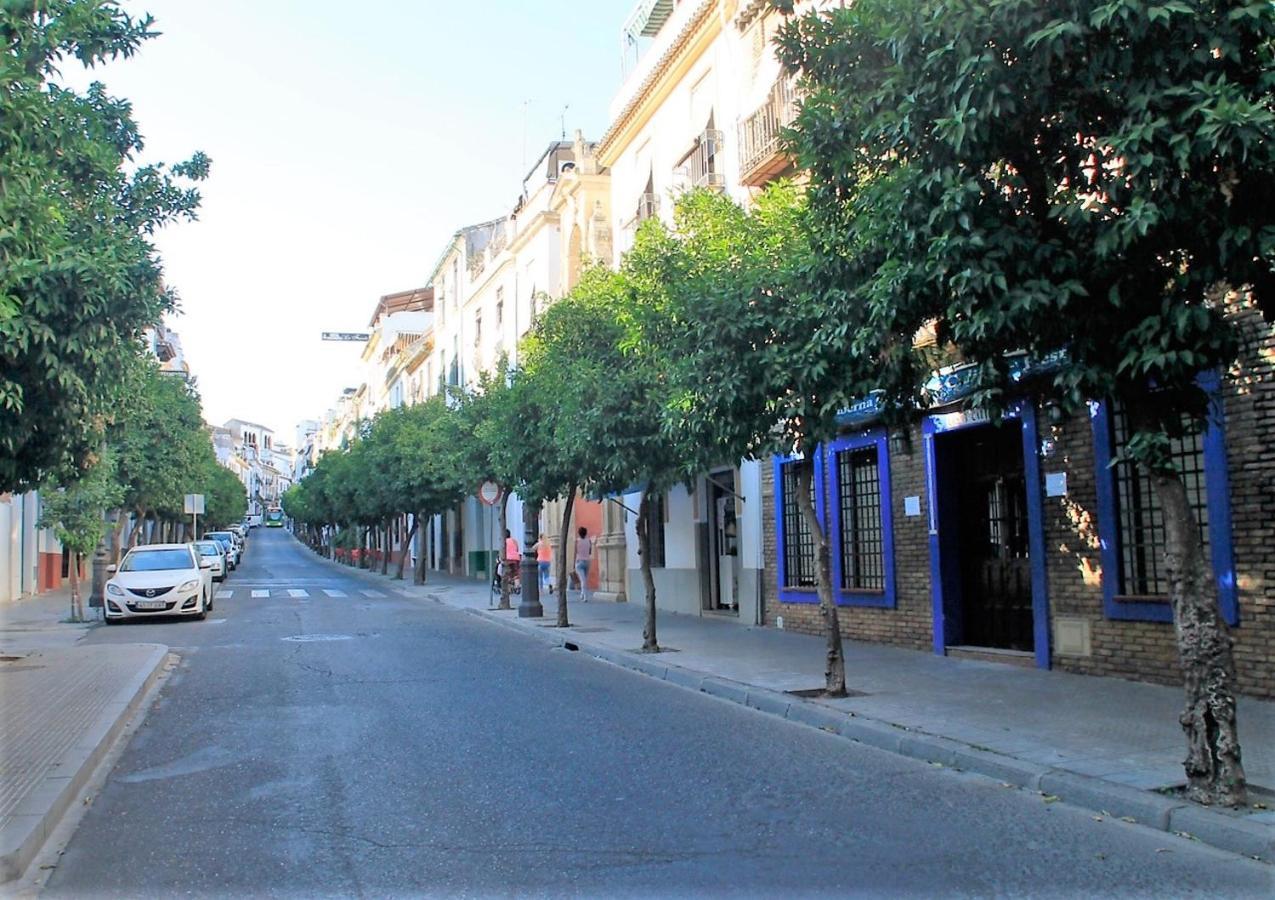 Vivienda Turistica Califato En Casco Historico Daire Cordoba Dış mekan fotoğraf