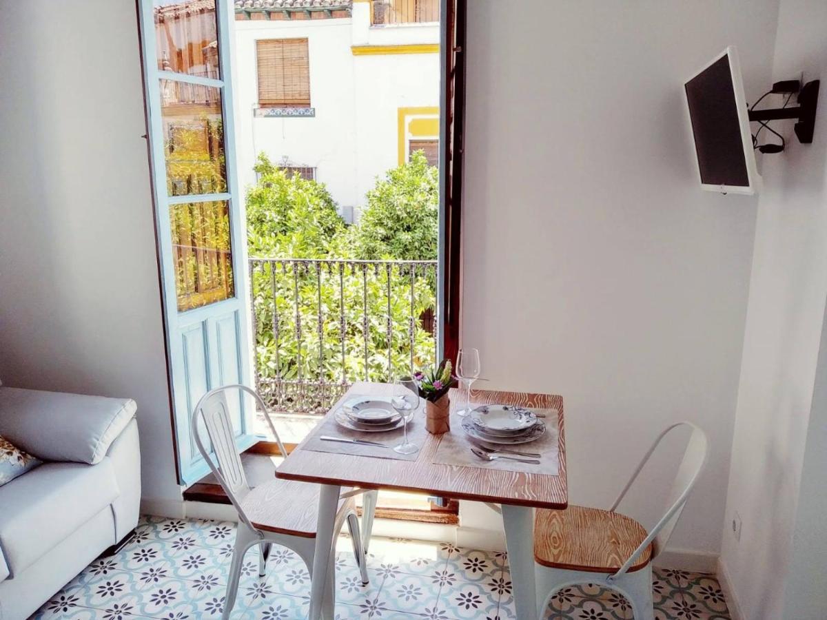 Vivienda Turistica Califato En Casco Historico Daire Cordoba Dış mekan fotoğraf